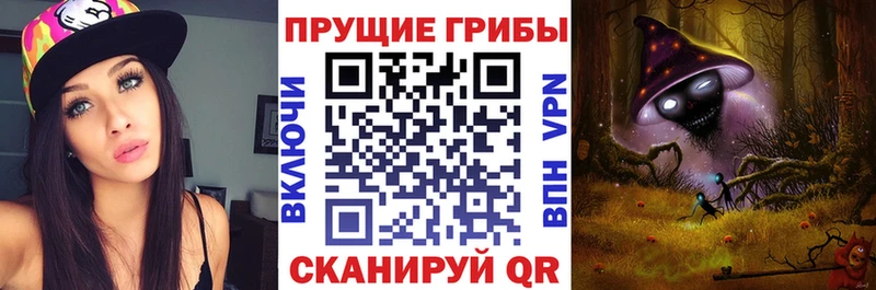 наркошоп  MEGA tor  Псилоцибиновые грибы GOLDEN TEACHER  Ишимбай 